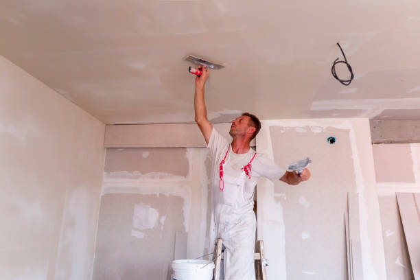 Best Drywall Removal and Disposal  in Dade City North, FL