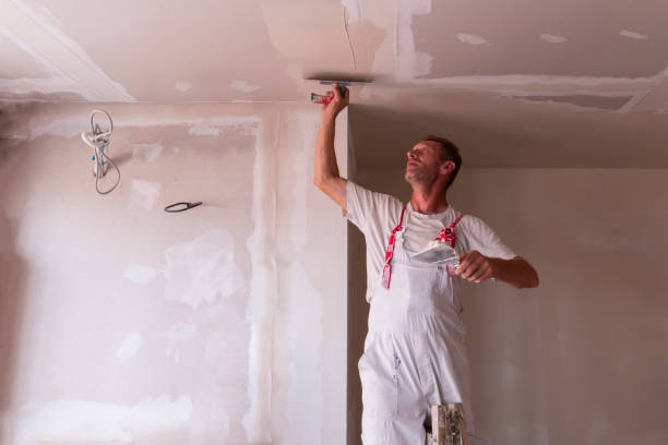 Best Drywall Texturing  in Dade City North, FL